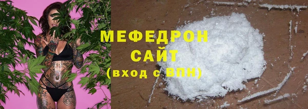 мдпв Богородск