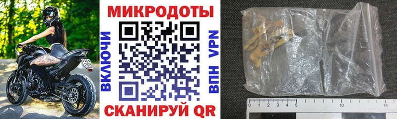 Псилоцибиновые грибы мухоморы  мега ONION  Каменск-Уральский  купить  
